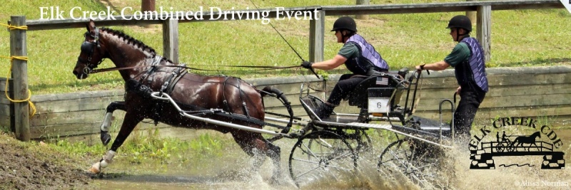 Elk Creek Driving