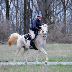 Foxcatcher(4-7-18)0019 Foxcatcher(4-7-18)0019