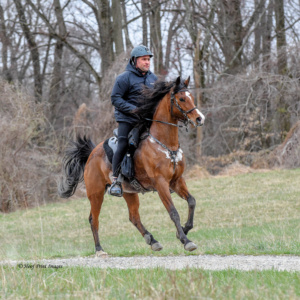 Foxcatcher(4-7-18)0400 Foxcatcher(4-7-18)0400
