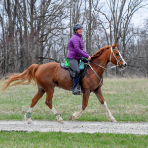 Foxcatcher(4-7-18)0425 Foxcatcher(4-7-18)0425