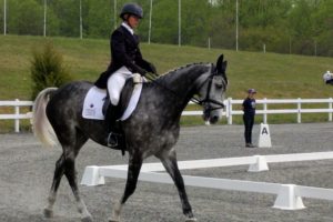 IMG_20160422_114647 IMG_20160422_114647