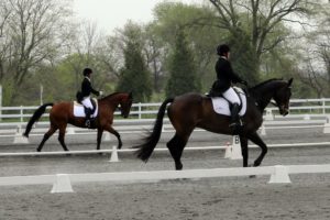 IMG_6239 IMG_6239
