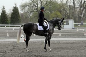 IMG_6261 IMG_6261
