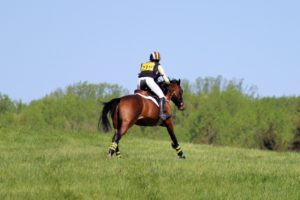 IMG_6494 IMG_6494