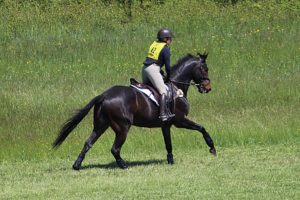 IMG_7324 IMG_7324