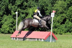 IMG_8428 IMG_8428