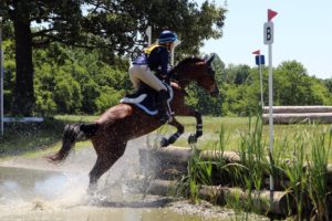 IMG_8568 IMG_8568