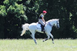 IMG_8695 IMG_8695