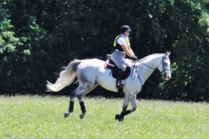 IMG_8730 IMG_8730
